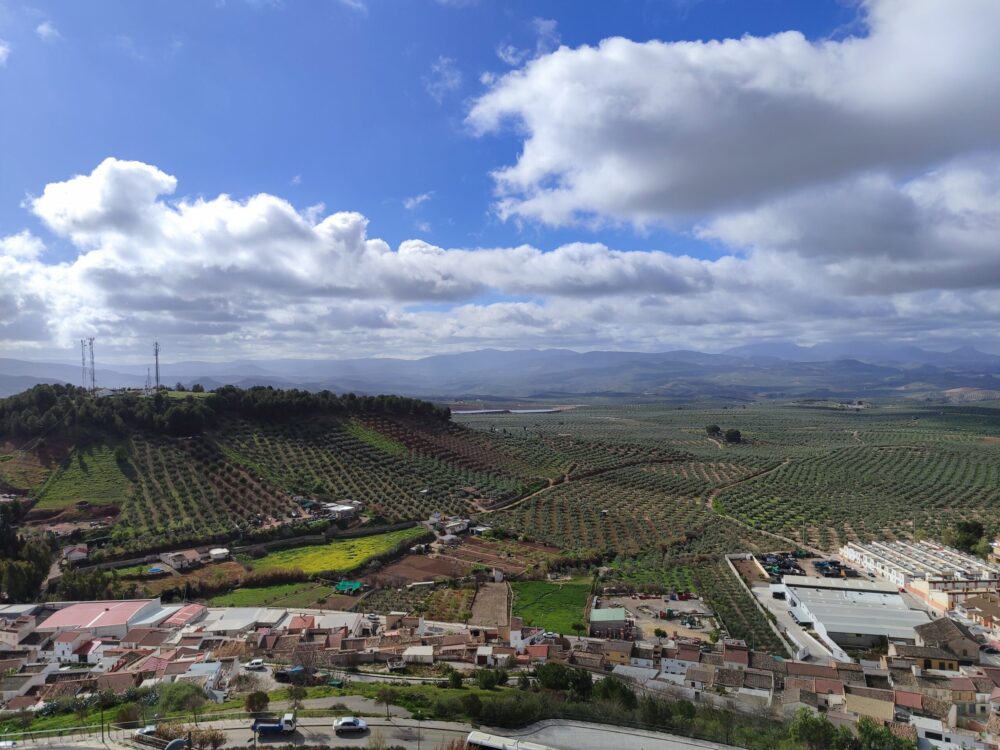 Vega de Alcaudete y Calvario