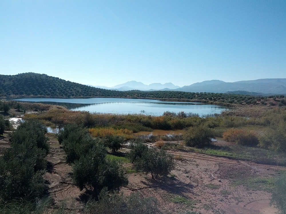 Laguna Honda, observación de aves migratorias, flamenco rosa
