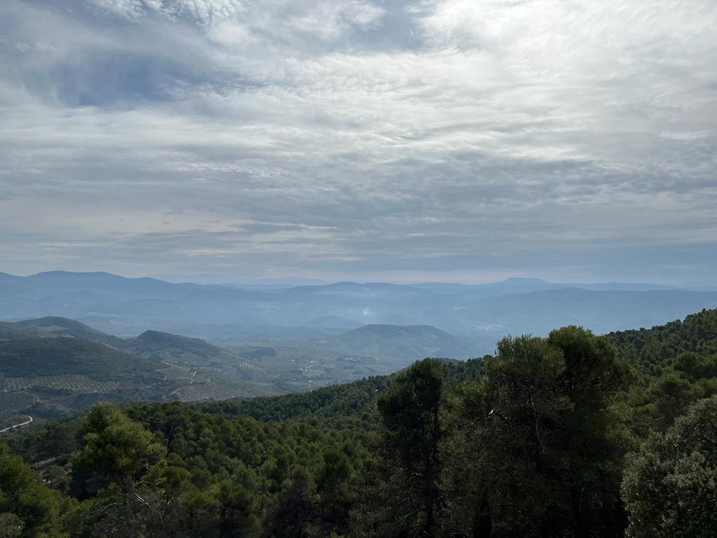 Vistas desde los Morrones